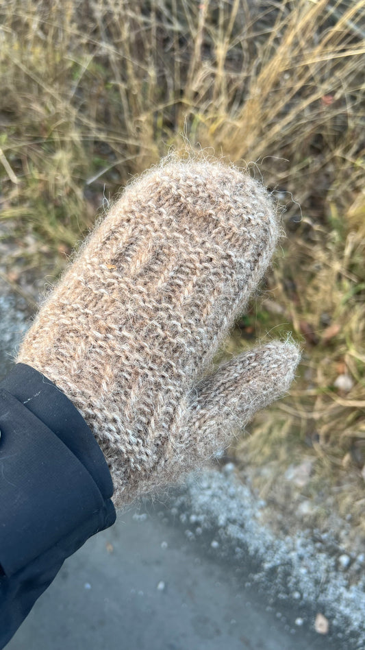 Coffee Mittens